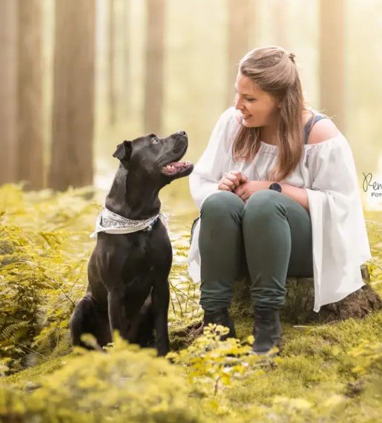 Lezing Omgaan met Hondenreactiviteit, Begrip van de Basis en Genezing van de Kern